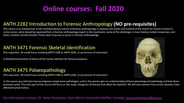 Online courses - Fall 2020