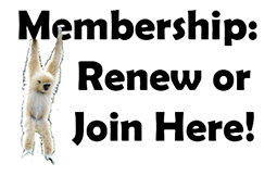 membership_renewal_v3.png